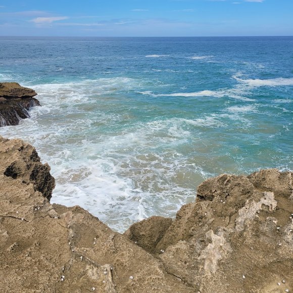 Meet your Posher - Picture 4 of 6